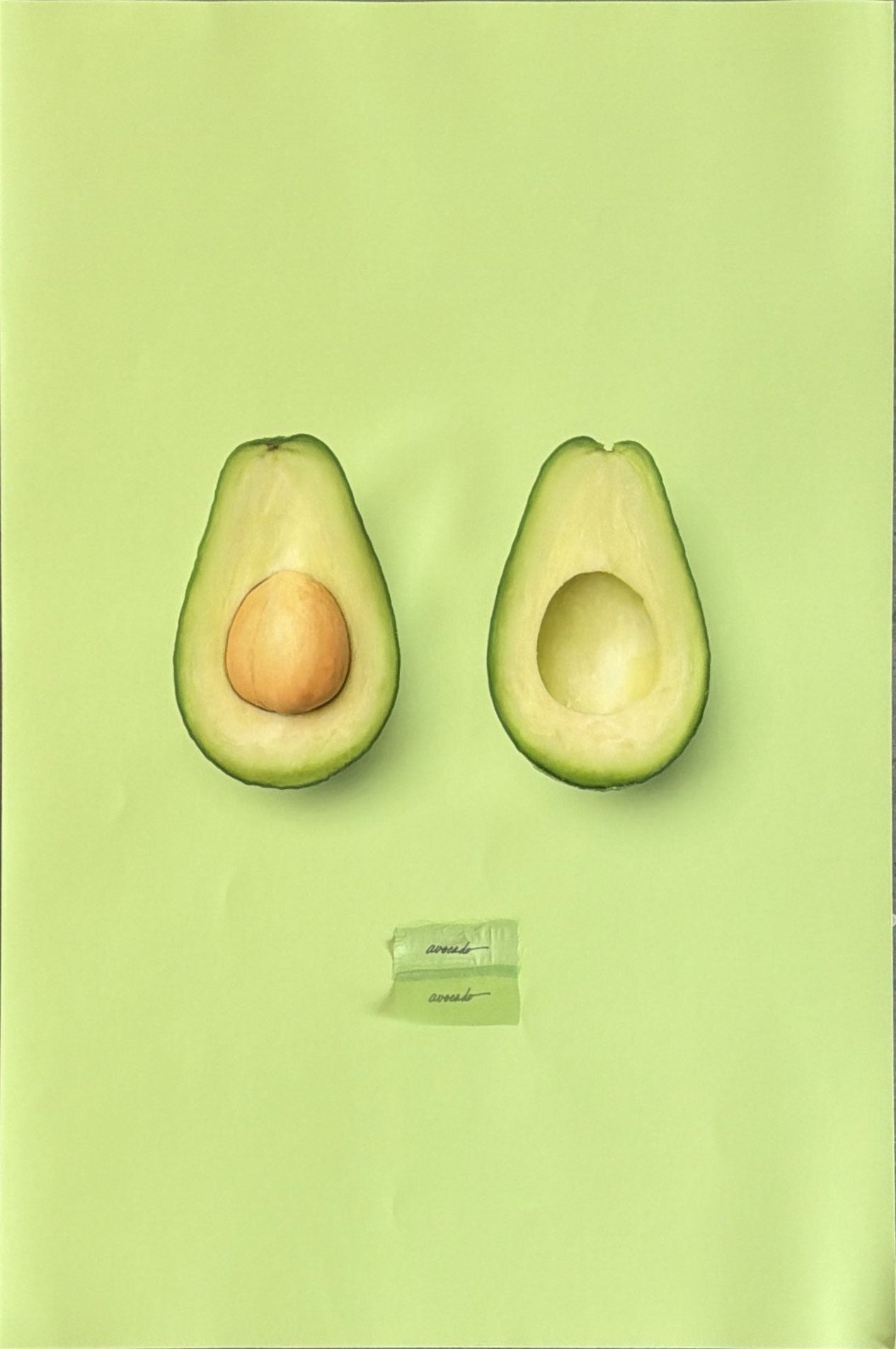 Avocado no. 1 (Bodega Foods Series)