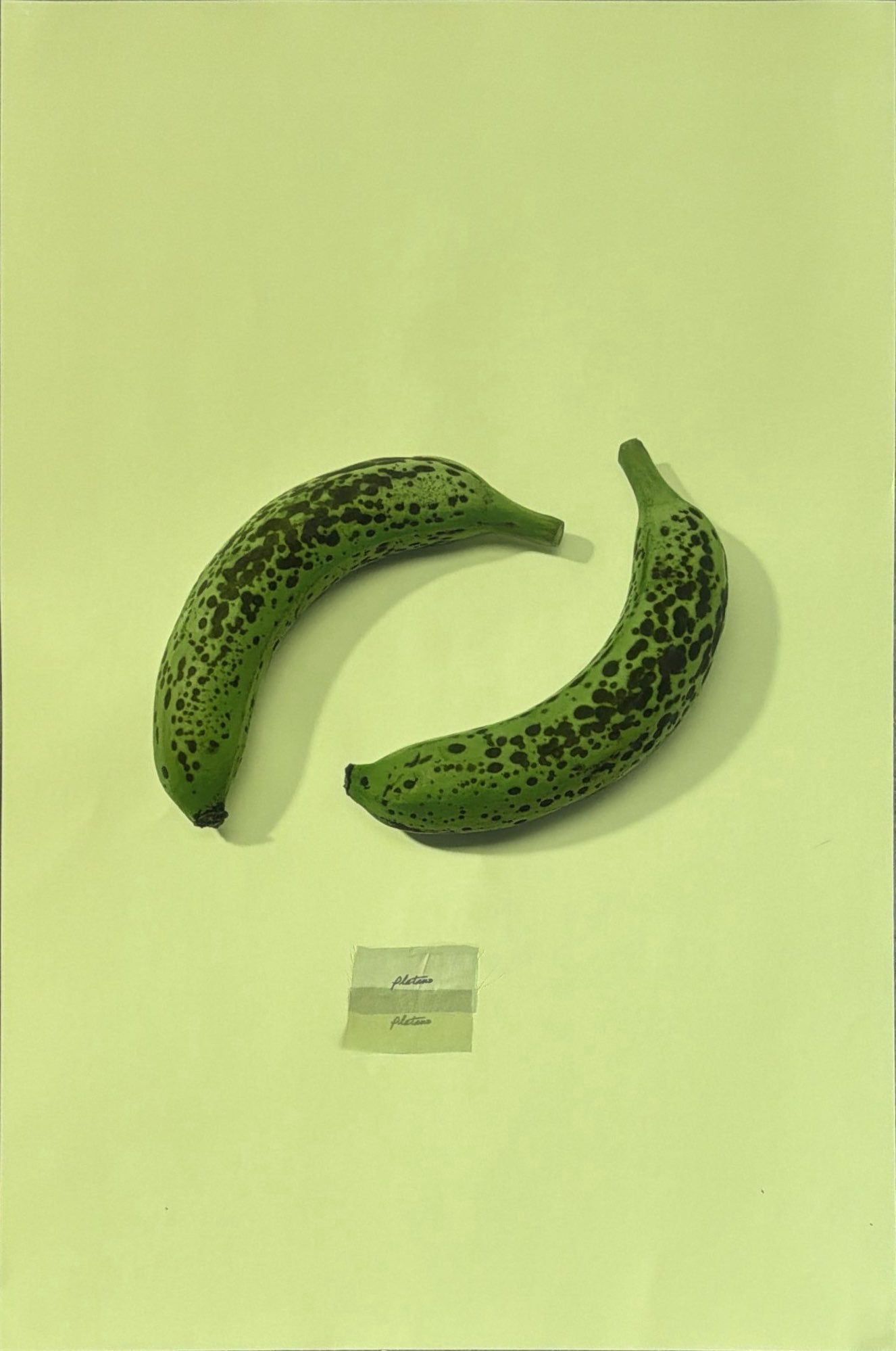 Plátano no. 1 (Bodega Foods Series)