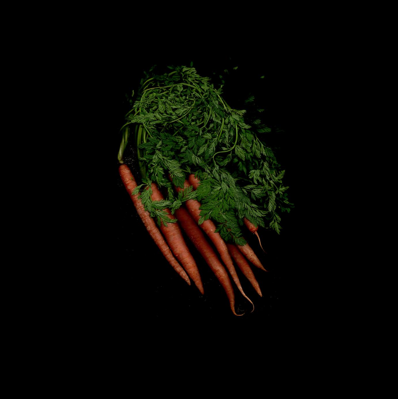 Cucina Portraits (No.1–No.6)
