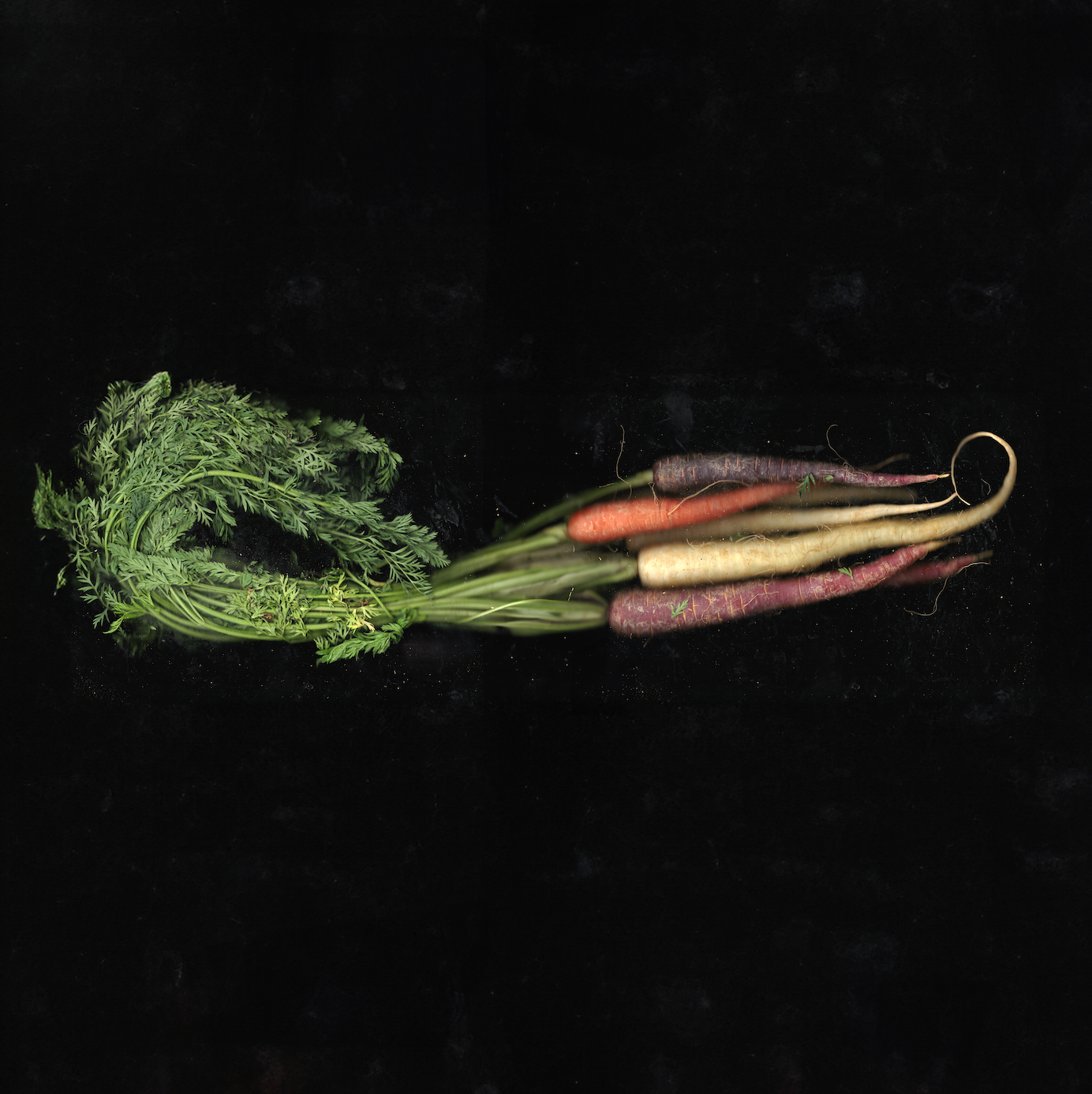 Cucina Portraits (No.1–No.6)