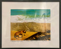 In Africa, Dogs Sleep on the Beach