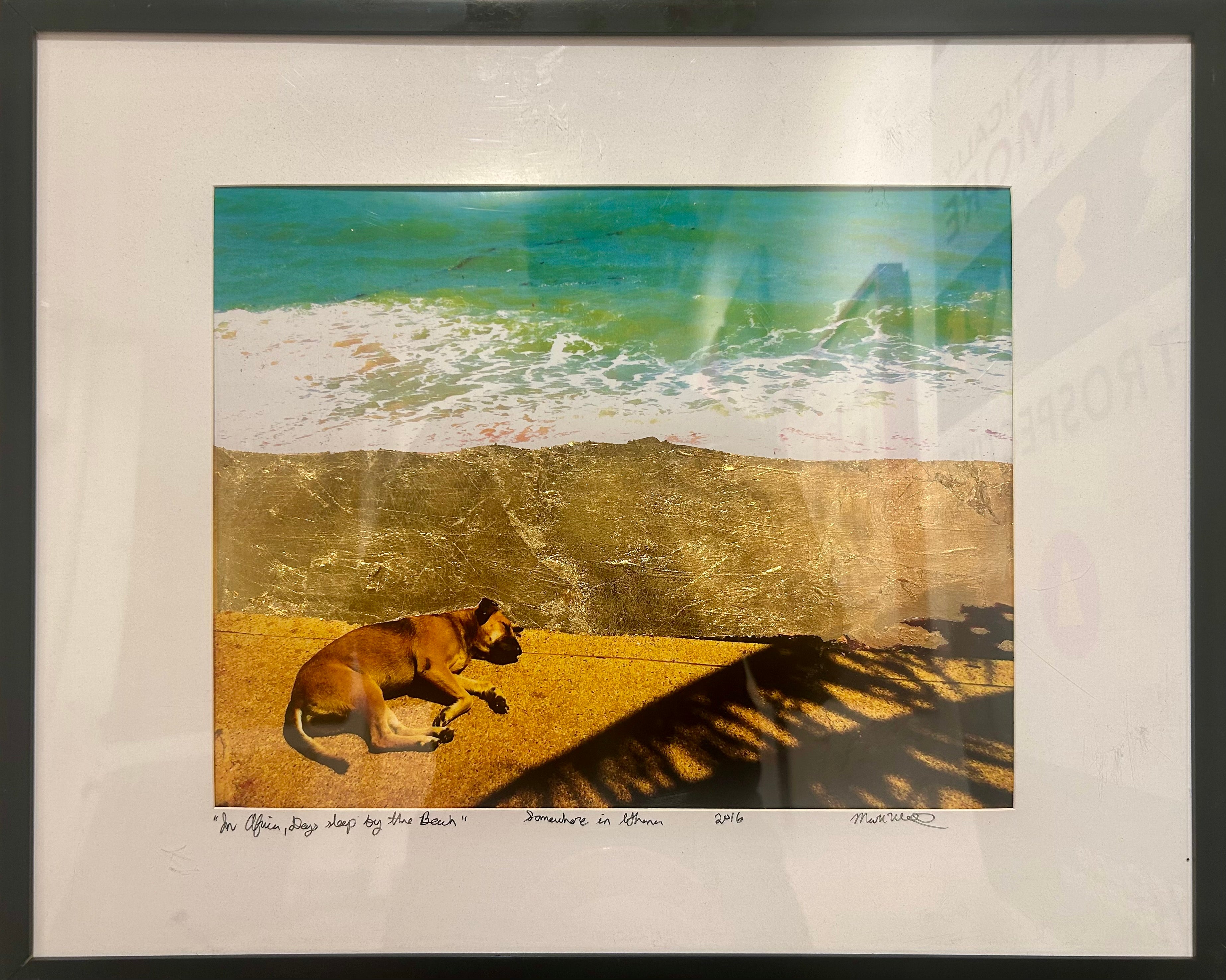 In Africa, Dogs Sleep on the Beach