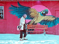 Charles & North Parrot